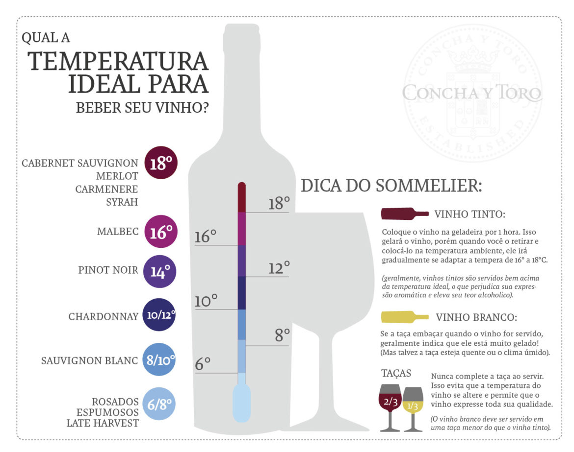 Qual a temperatura ideal para armazenar vinho e espumante? - blogdosvinhos