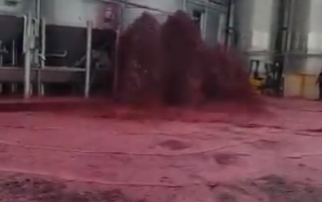 Vazamento de tanque causa "mar de vinho" na Espanha: veja o vídeo