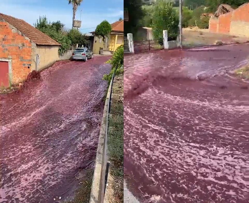 "Rio de vinho" inunda ruas de Portugal após destilaria estourar