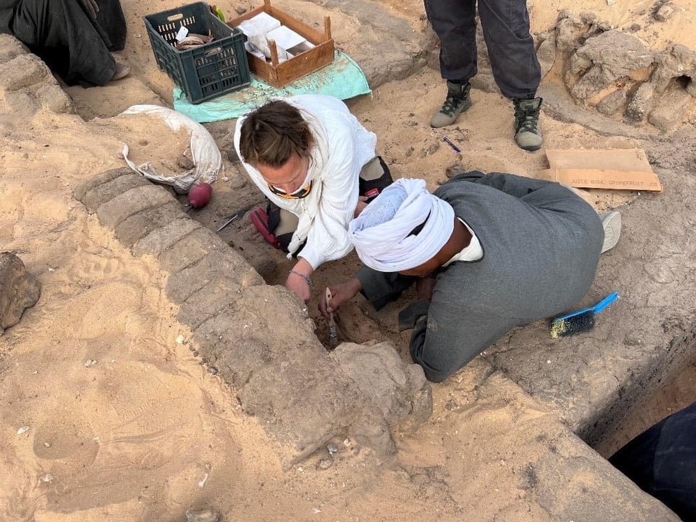 Vinhos de 5 mil anos são encontrados em túmulo de rainha egípcia